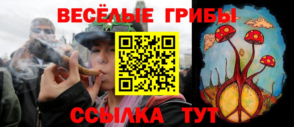 Галлюциногенные грибы Cubensis  Псилоцибиновые грибы мицелий  Вход с VPN  купить закладку  Иваново 
