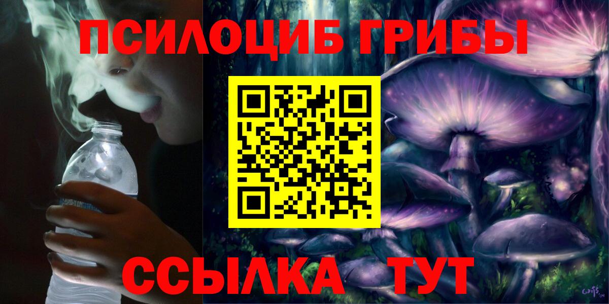 Галлюциногенные грибы Psilocybine cubensis Иваново